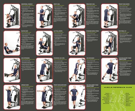 "Visual guide showing a full Home Gym Workout Plan with illustrated exercise instructions for strength training and muscle building at home."